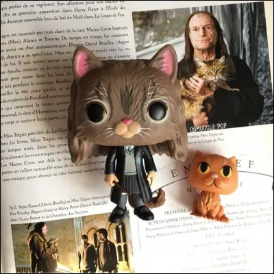 Pattenrond est le chat de...