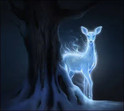 Le patronus est un cerf, il s'agit de ...