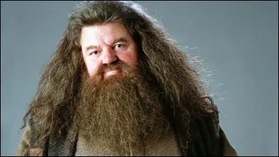 Malgré son apparence féroce, Crockdur est...