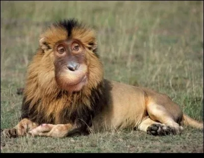 Qui a dit "N'imitez rien ni personne. Un lion qui copie un lion devient un singe." ?