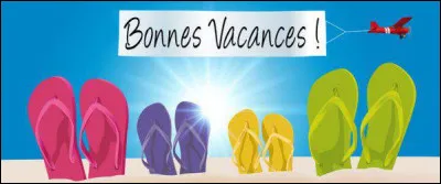 Regarde bien ! Face à toi, les deux tongs qui sont à gauche de l'image sont...