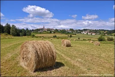 Quel est le nom de l'une des sous-préfectures du département dont le numéro est 77 ?