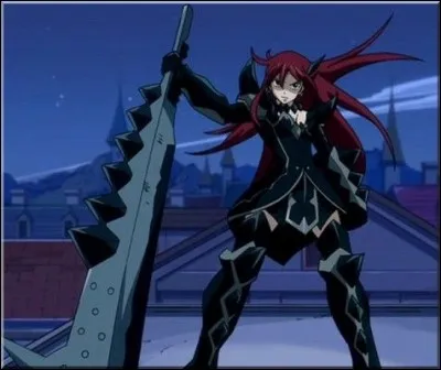 Comment s'appelle cette armure ?