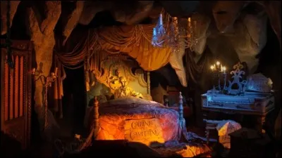 Quel est le nom de cette attraction ?