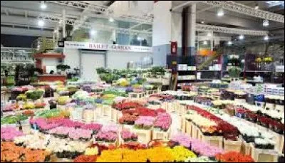 Je dois aller chercher des fleurs aux halles de Rungis. Pouvez-vous m'aider car je ne sais pas o&ugrave; cette ville se trouve ?