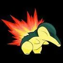 En quoi volue t-il ?