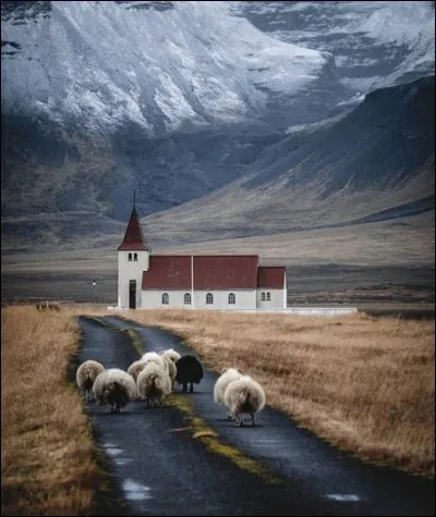 Il n'y a pas de train non plus ici. Pourtant, ils ont su mettre spéculateurs et autres banquiers véreux sur une voie de garage (la prison) : ils avaient très mal aiguillé le pays ! Où donc ?