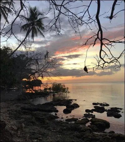 Il ne reste plus que des vestiges du réseau ferré de Papouasie Nouvelle-Guinée. Celui-ci avait été entrepris au début du XXe siècle, durant la colonisation ...