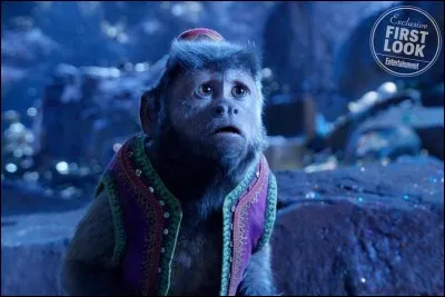 Comment s'appelle le singe dans "Aladdin" ?
