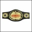 Comment s'appelle cette ceinture ?