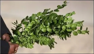 Quelle violoniste décède en 1949 d'un accident d'avion ?