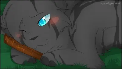 À quel objet tient-il le plus ?