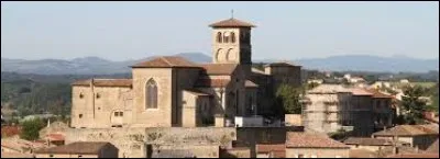 Vous avez sur cette image la collégiale Saint-Pierre-et-Saint-Paul et le Palais Delphinal de Saint-Donat-sur-l'Herbasse. Ville d'Auvergne-Rhône-Alpes, dans l'arrondissement de Valence, elle se situe dans le département ...