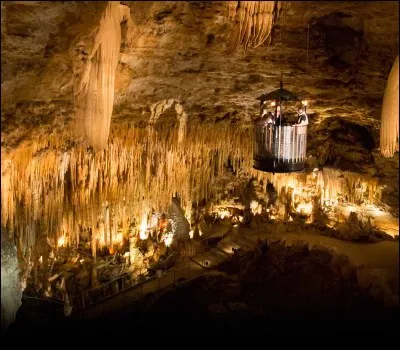 Année : 2011
Genre : thriller 
Personnages : Jonathan, Farid, Michel.
Indices : enchaîné, chien, masque, explosion. 
Quel est ce roman ?