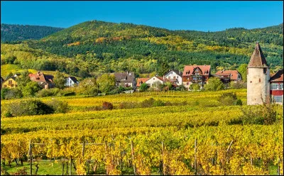 Quel est le code Insee du Haut-Rhin ?