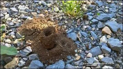 Année : 2015 
Genre : Thriller
Personnages : Jon/Jarvis/Ingmar/Hanna. 
Indices : Luthérien/Aïeuls/Suède/Équarrisseur. 
Quel est ce roman ?