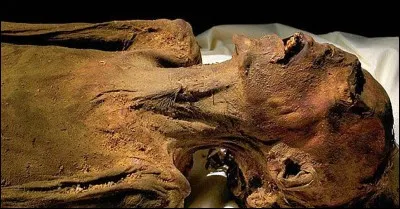 Année : 2011
Genre : Thriller 
Personnages : Guy/Faustine.
Indices : Château/Ferme/Massacre/Médiums. 
Quel est ce roman ?