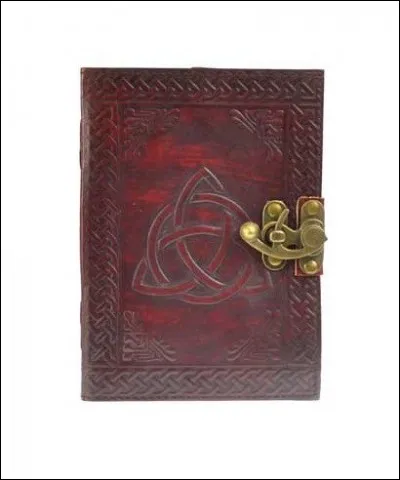 Année : 2003
Genre : Fantastique 
Personnages : Tommy/Sean/Lewis/Zachary. 
Indices : Edgecombe/Ogre/Étranglement/Bande d'ados. 
Quel est ce roman ?