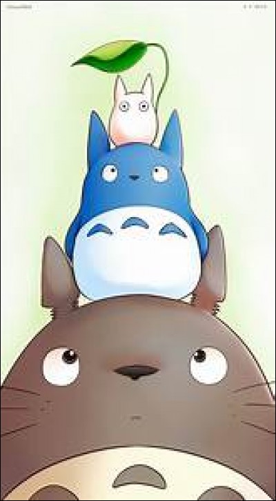 Qui, Totoro rencontre-t-il pour la première fois ?