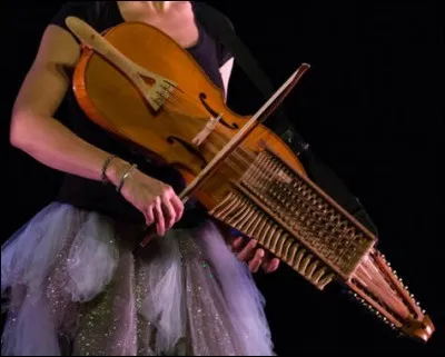 La majorité des cordes (12 sur 16) du "nickelharpa" (ou "vièle à clavier") ci-dessus sont dites "sympathiques" : pourquoi ?