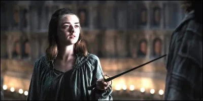 Quelle est la liste complète d'Arya ? (La première version, avant la moindre modification)