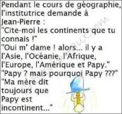 Citations - 
''Les navigateurs sont l'inverse des camemberts : ceux qui ne coulent pas sont les meilleurs''.
Quel navigateur a prononcé cette phrase ?