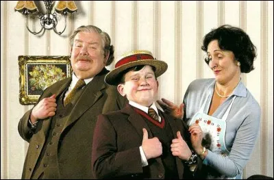 Comment s'appellent l'oncle, la tante et le cousin d'Harry Potter ?