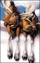 (Frres des ours 2) Comment se nomment les deux lans ?