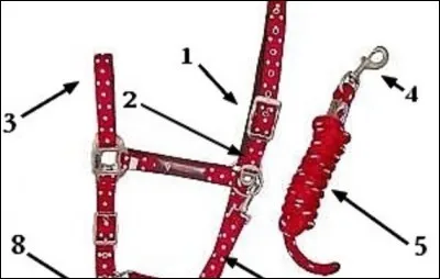 Quelle est la partie 4 ?