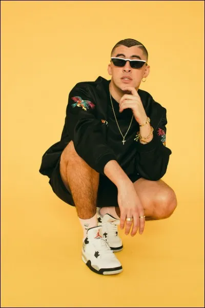 Quel est le style de musique de Bad Bunny ?