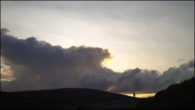 À qui doit-on le roman "À l'est d'Eden" ?