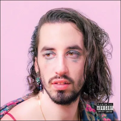 Sur le podium, un ouragan, une tempête, un cyclone... de douceur s'est abattu sur 2017 avec "Flip" (et même son deluxe) de...