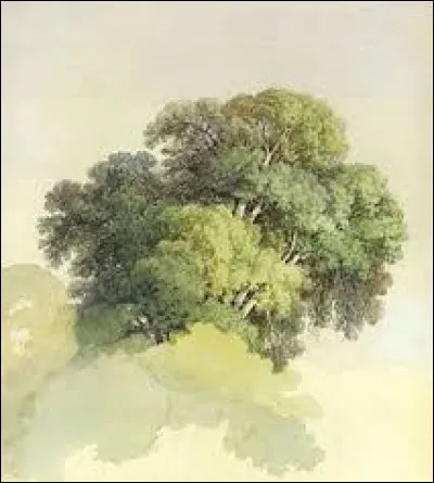 Que serait Tintin sans elle, c'est la...