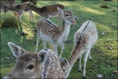 On le trouve dans la morgue, c'est le...