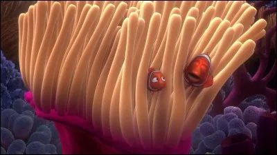 Dans "Le Monde de Nemo", à quelle adresse doivent se rendre Marin et Dort pour retrouver Nemo ?