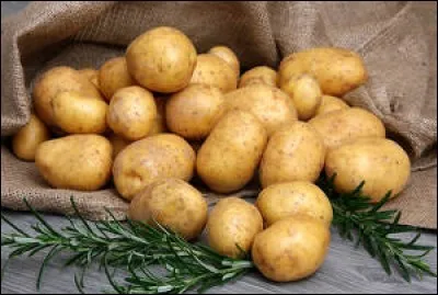 Laquelle de ces propositions désigne une variété de pommes de terre ?
