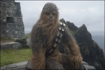Quelle était la taille du regretté Peter Mayhew, l'interprète de Chewbacca ?