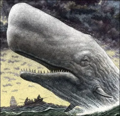 Quelle est cette créature ?