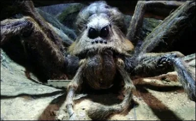 Quelle est cette créature ?