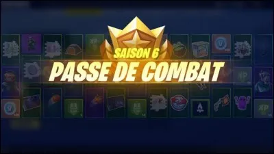 De combien est le maximum de skins que peut contenir un "Passe de combat" ?