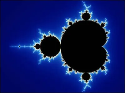 Laquelle de ses figures n'est pas une fractale ?