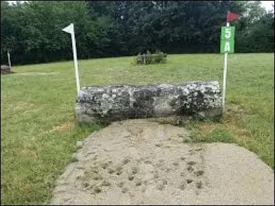 Quel est cet obstacle ?