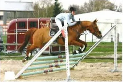 Quel est cet obstacle ?