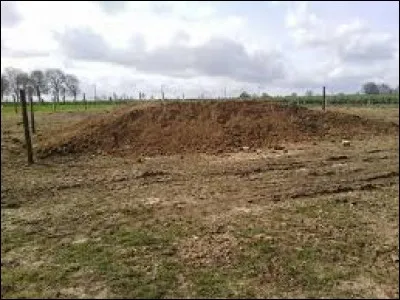 Cet obstacle est-il un obstacle de cross ?