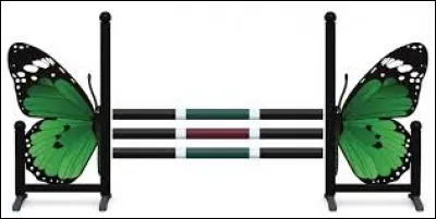 Cet obstacle est-il un obstacle de cross ?