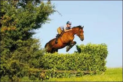 Quel est cet obstacle ?