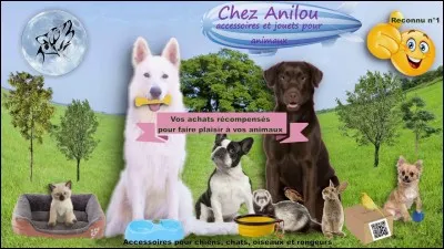 Animaux : 
Quel est le meilleur ami de l'Homme ?