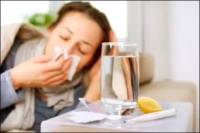 Santé : 
Quelle maladie, autre que le rhume, fait des épidémies l'hiver ?