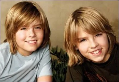 Dans 'La vie de palace de Zack et Cody', quel est le nom de famille des deux jumeaux ?