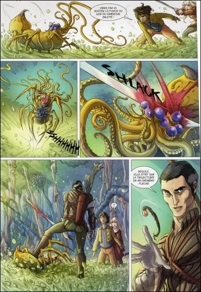 Comment s'appellent les araignées géantes ?